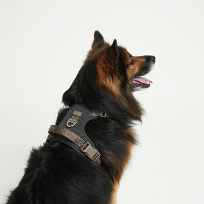 Elma Active Dog Harness – Storm | Danish Design