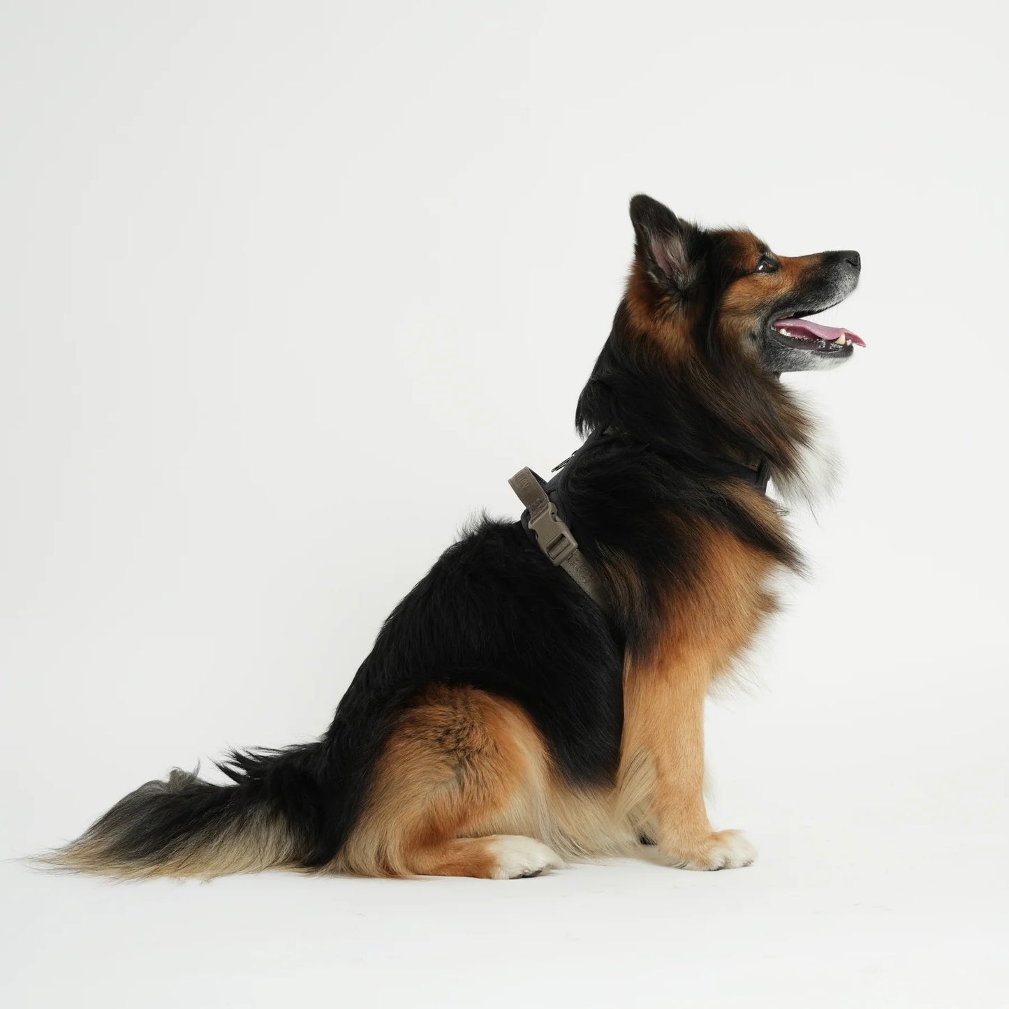 Elma Active Dog Harness – Storm | Danish Design