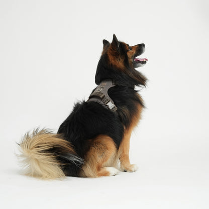 Elma Active Dog Harness – Taupe | Danish Design