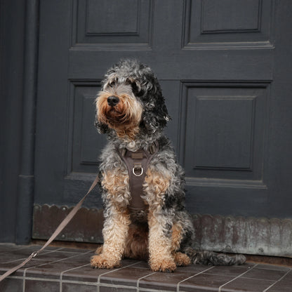 Elma Active Dog Harness – Taupe | Danish Design