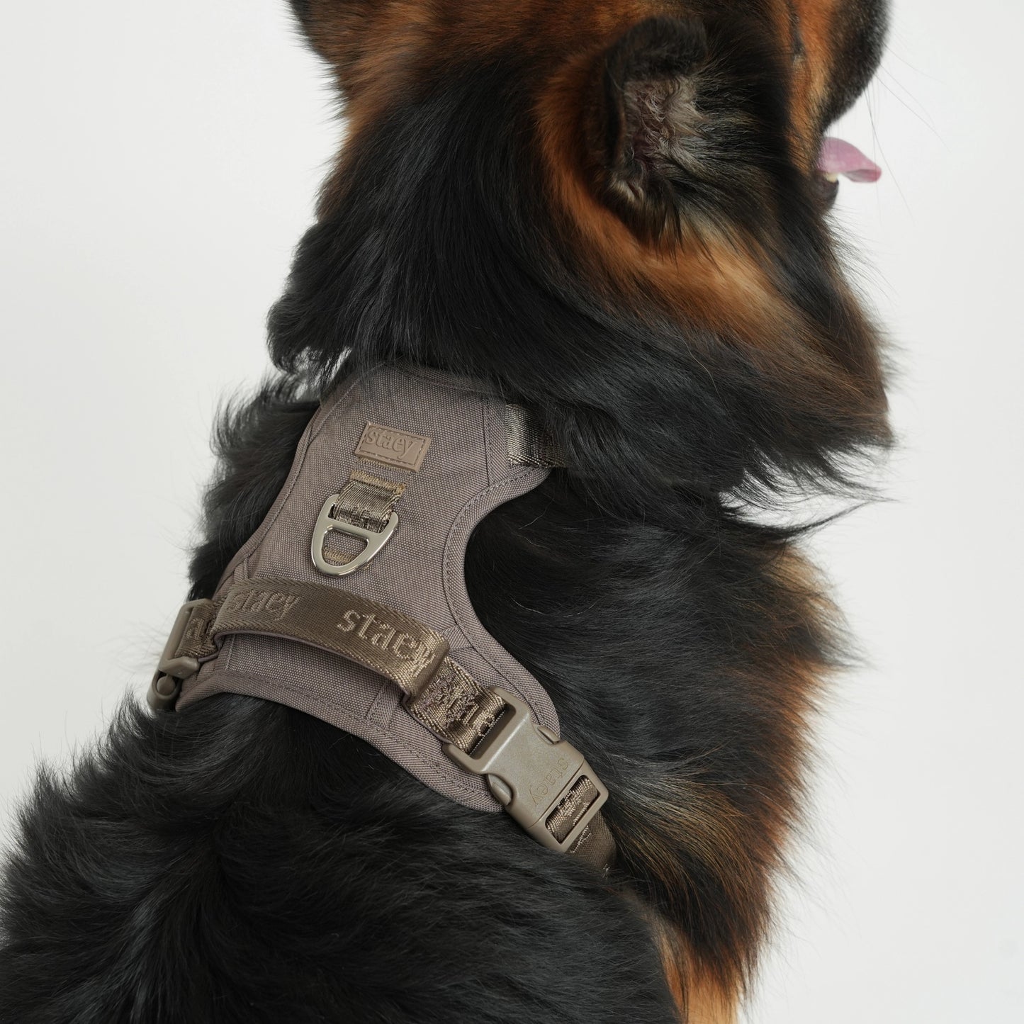 Elma Active Dog Harness – Taupe | Danish Design