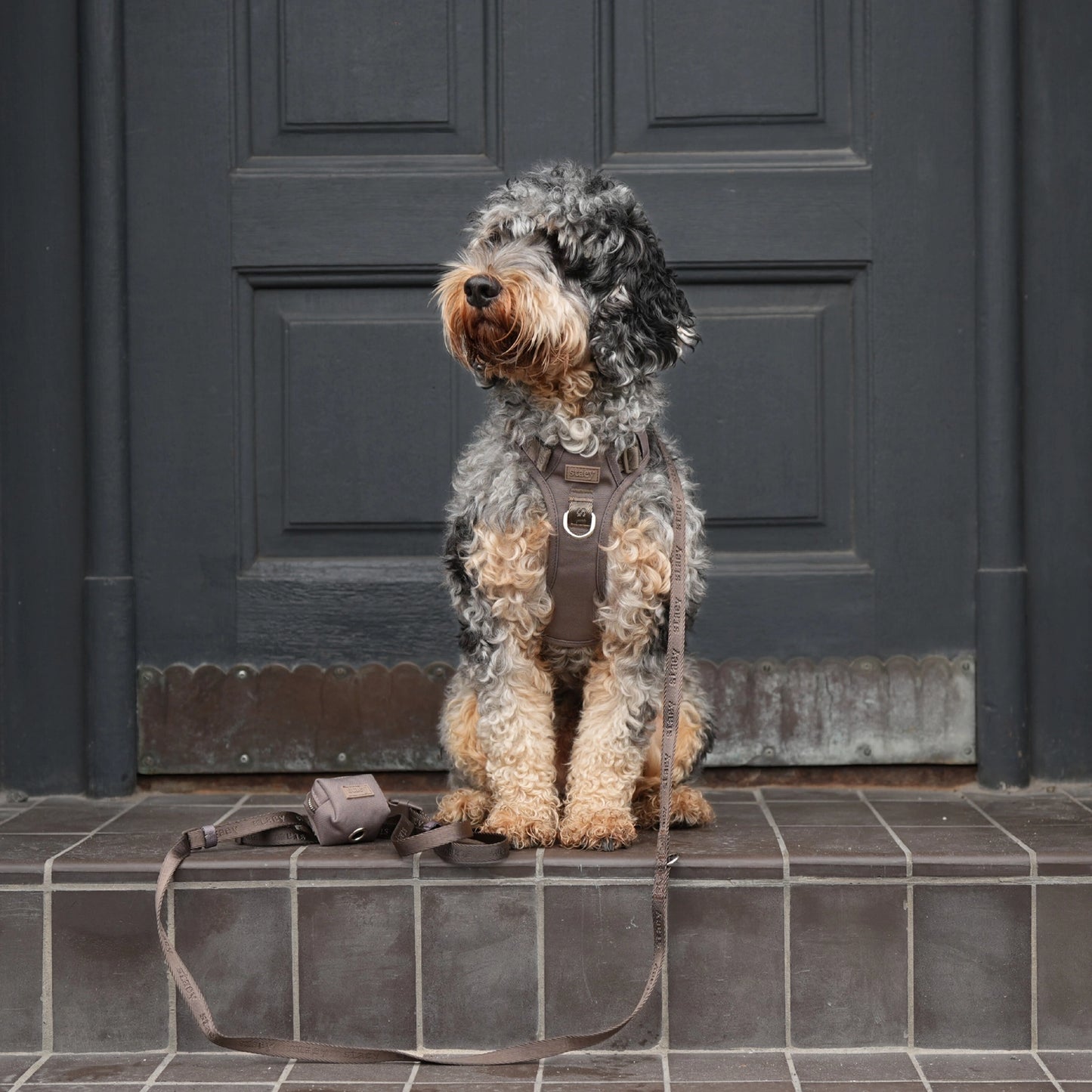 Elma Active Dog Harness – Taupe | Danish Design