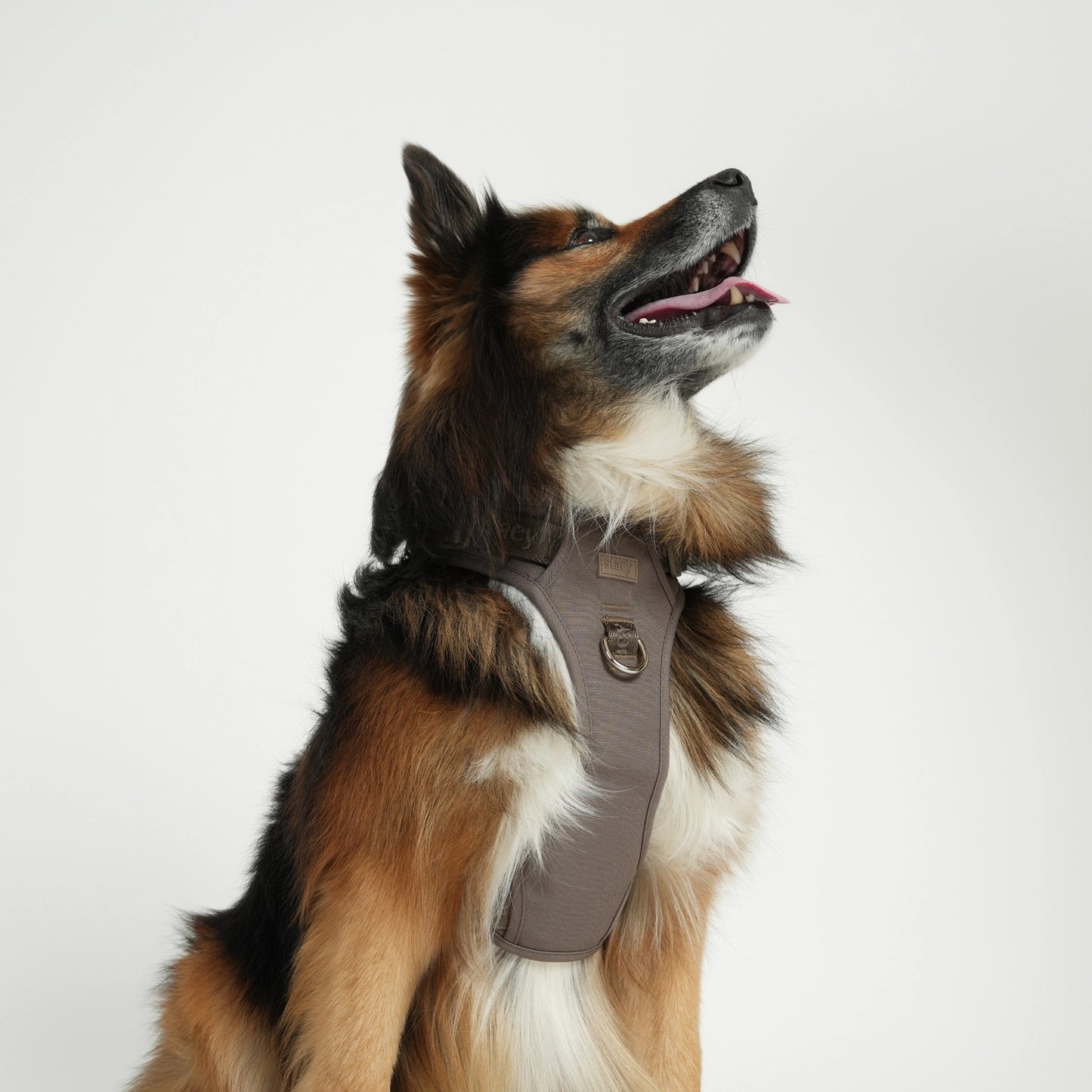 Elma Active Dog Harness – Taupe | Danish Design