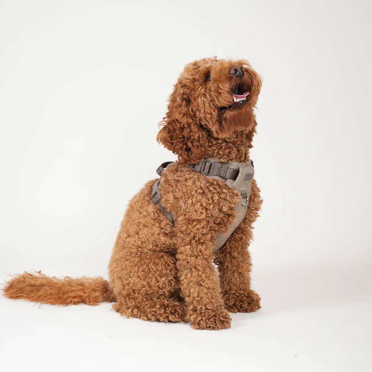 Dog Harness Elma in Mocca | Comfortable Adjustable Scandinavian Design