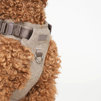 Dog wearing a gray harness on a white background