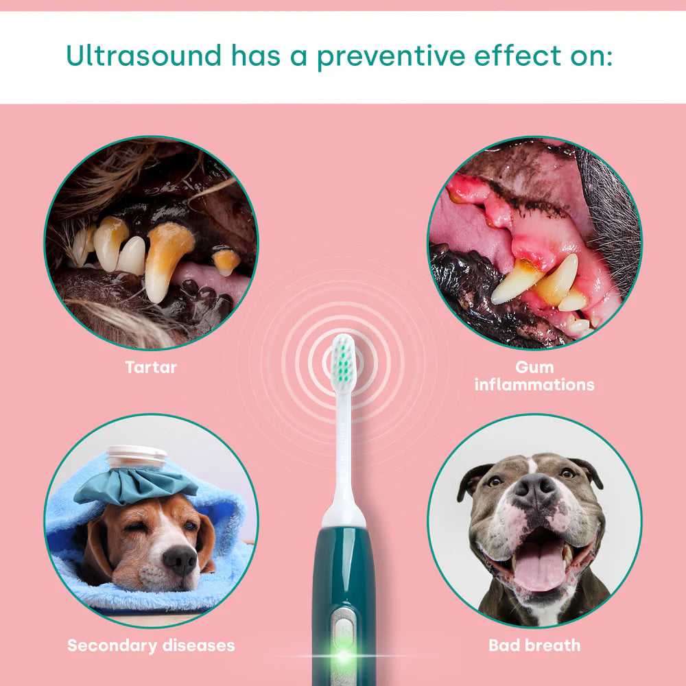 Emmi-Pet 2.0 Basis Set – Ultrasonic Toothbrush for Dogs & Cats