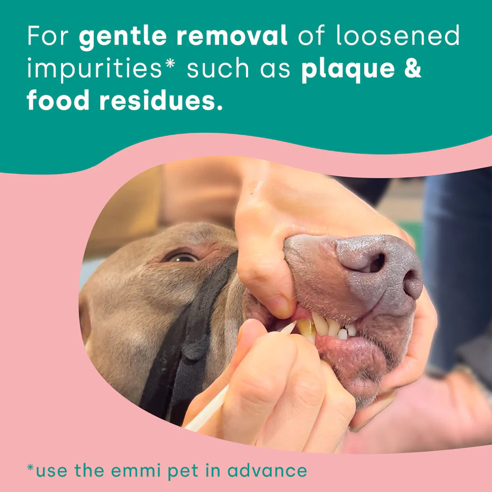 Emmi-Pet 2.0 Basis Set – Ultrasonic Toothbrush for Dogs & Cats