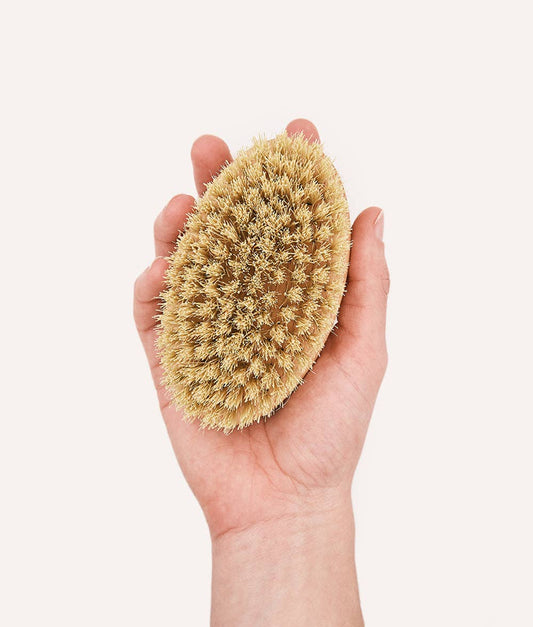 Short Hair Dog Brush, Teo