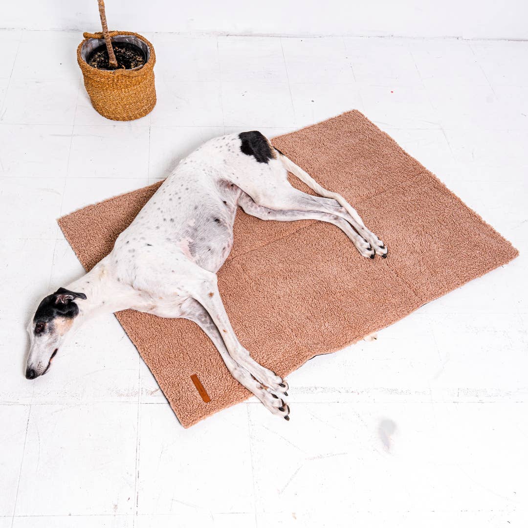 Mia Teddy Travel Mat – Comfort Anywhere, Anytime