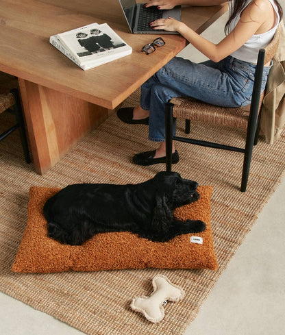 Person using a laptop at a wooden desk with a black dog lying on an orange mat below.