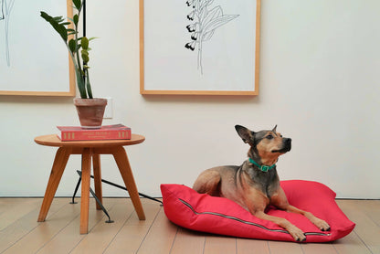 The Fritz Dog Pillow Bed – Machine Washable, Recycled & Scratch Proof