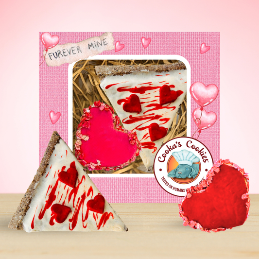 Love at First Slice – Valentine’s Dog Treat Gift Set (Limited Edition)