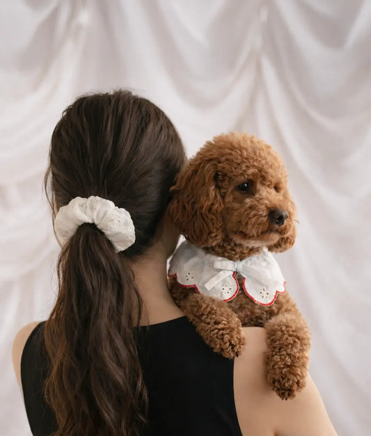 Collar-Style Dog Bandana, English Embroidered Design, Coral, Lola: L
