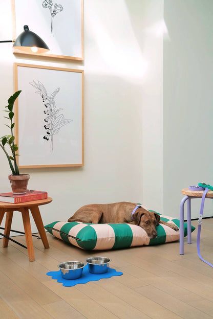 Dog resting on a striped cushion with bowls nearby in a room with framed artwork and a plant.