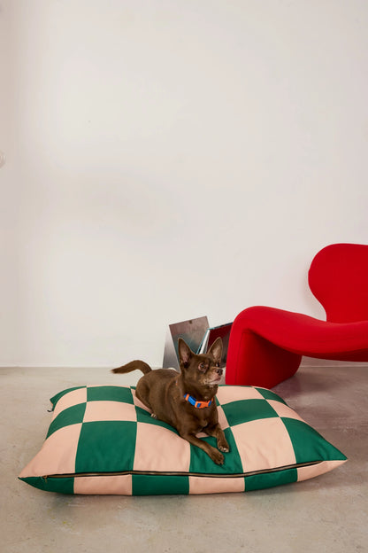 Dog lying on a checkered pillow with a red chair in the background