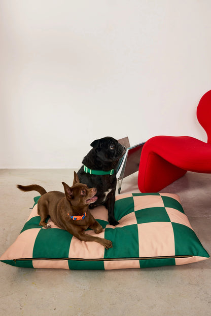 Two dogs on a checkered green and beige dog bed with a red heart-shaped object in the background.