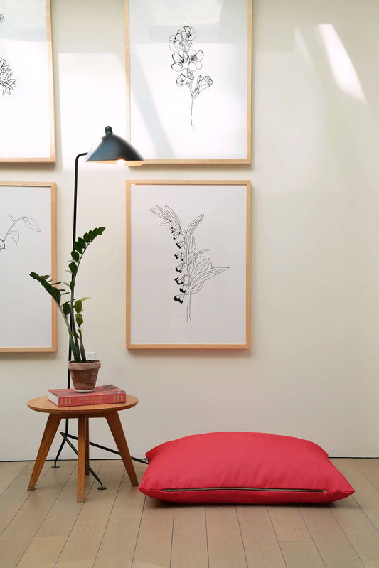 Red pillow on a wooden floor with framed botanical prints on the wall.