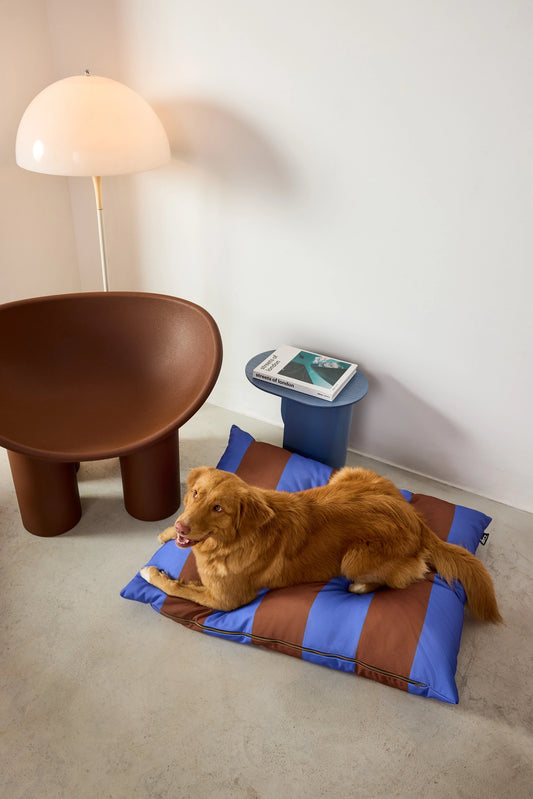 Dog lying on a striped mat in a room with a brown chair and white wall.
