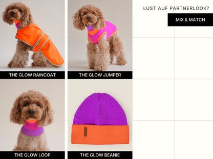 Dog wearing various colorful outfits with text indicating product names and a mix-and-match feature.