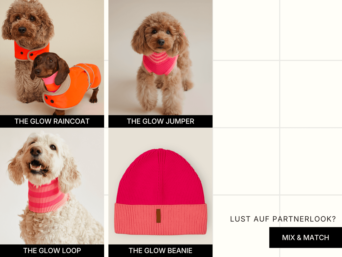 Collage of dogs wearing various glow-in-the-dark pet products with text labels.