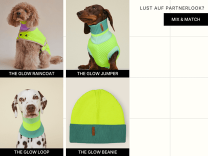 Four dog models wearing glow-in-the-dark clothing with product names below.