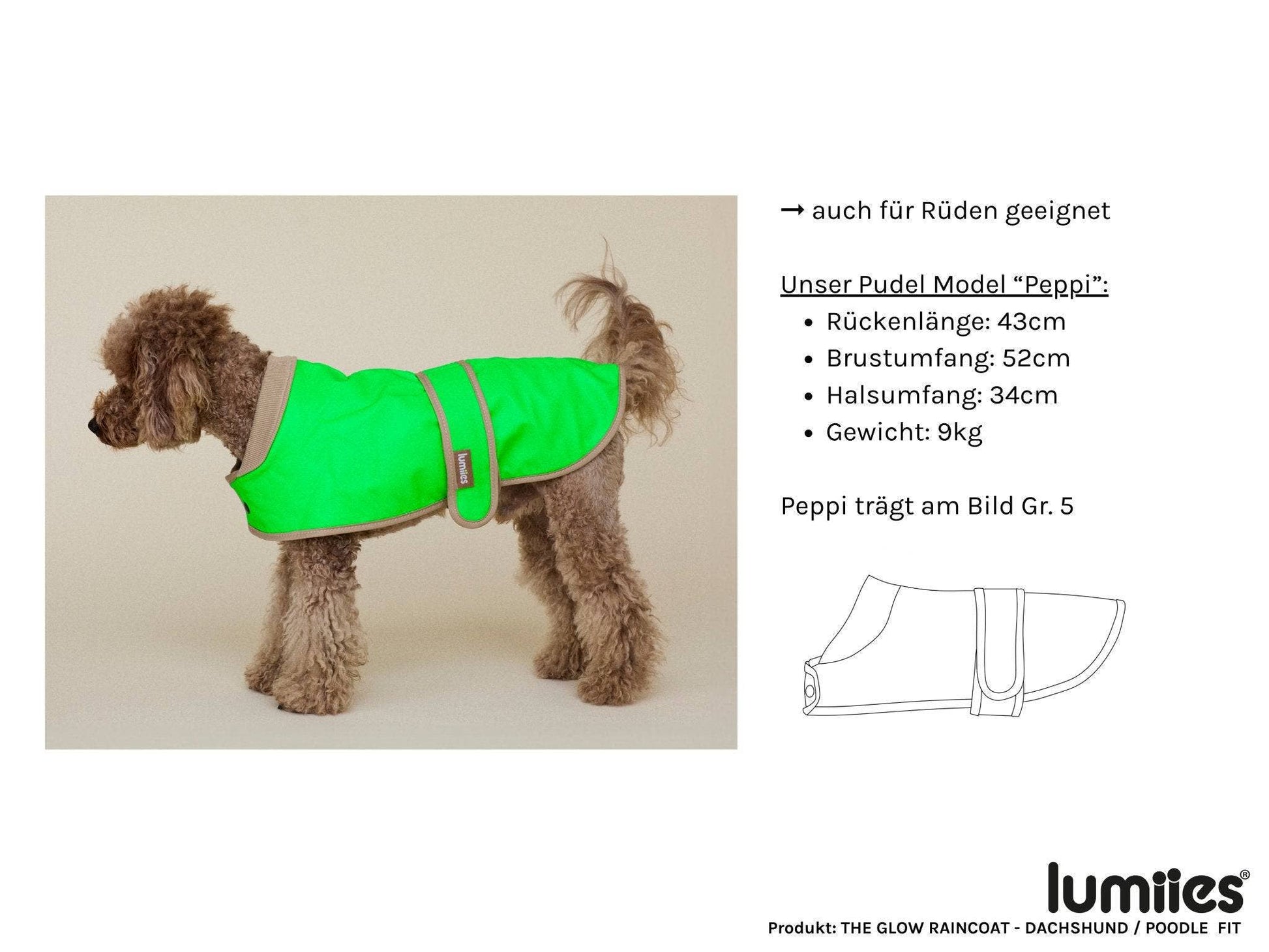 Dog wearing a green raincoat with product details on a beige background