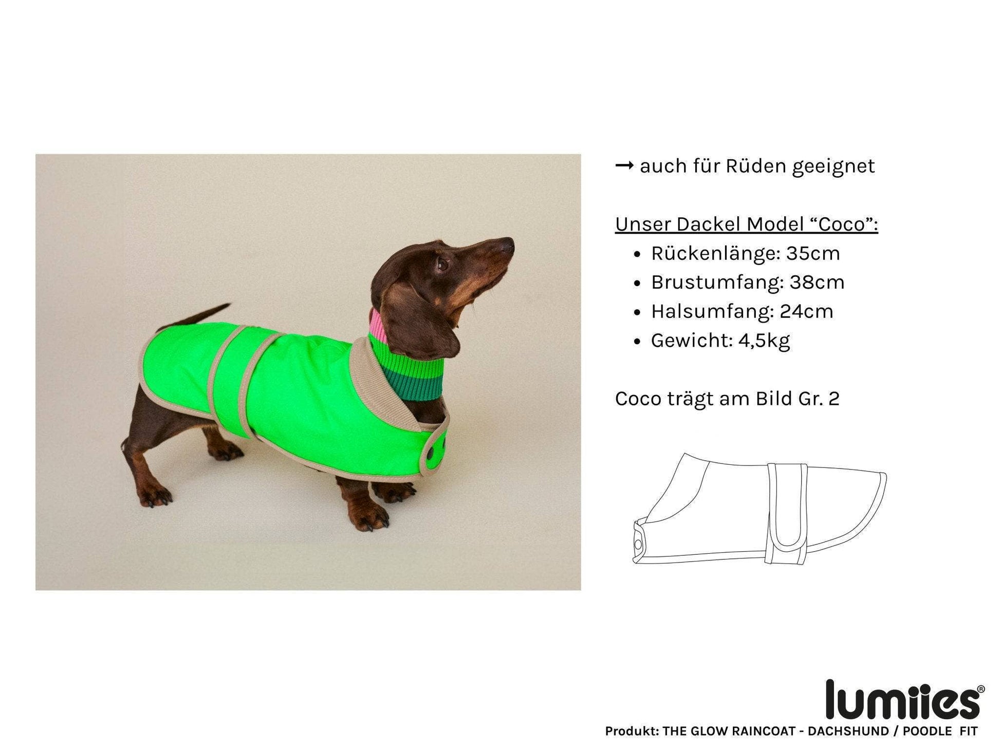 Dog wearing a green raincoat with size information on a white background