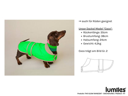 Dog wearing a green raincoat with size information on a white background
