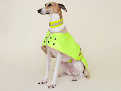 Dog wearing a bright yellow raincoat on a beige background
