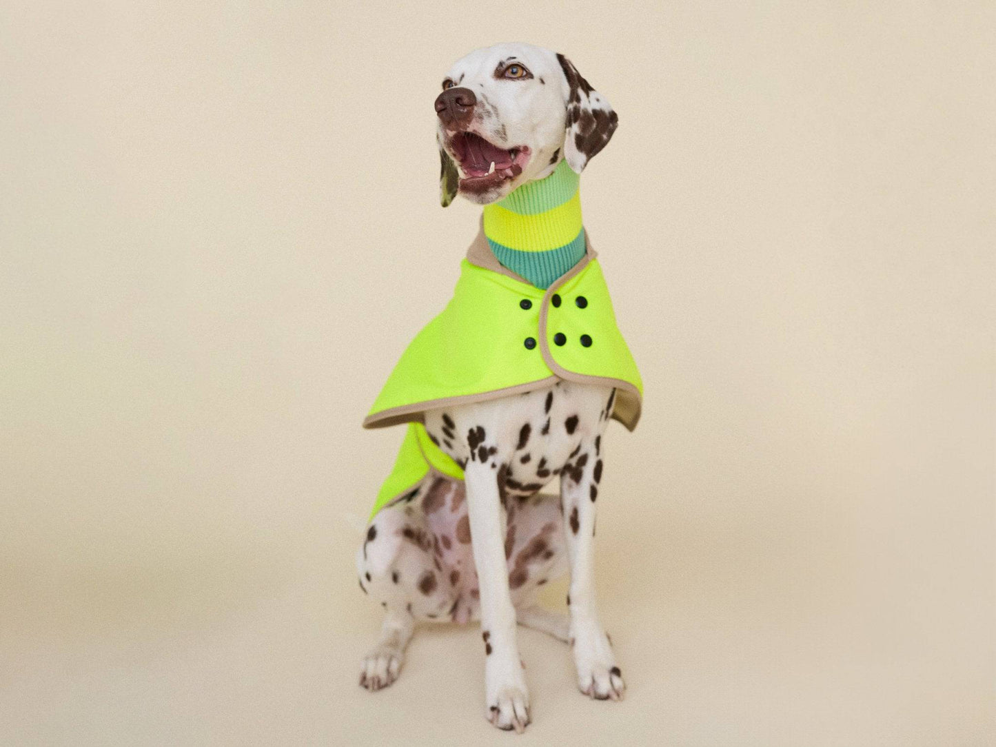 THE GLOW RAINCOAT regular-fit – Waterproof Dog Coat (Neon Yellow)