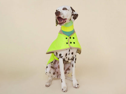 THE GLOW RAINCOAT regular-fit – Waterproof Dog Coat (Neon Yellow)