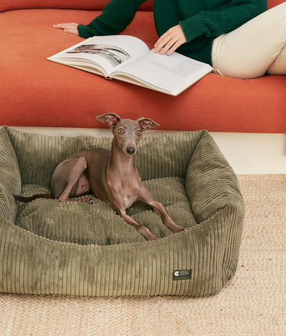 Dog lying on a corduroy dog bed with a person reading a book in the background.