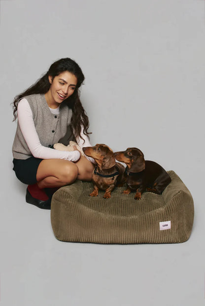 Woman sitting on a large brown dog bed with two small dogs on a gray background