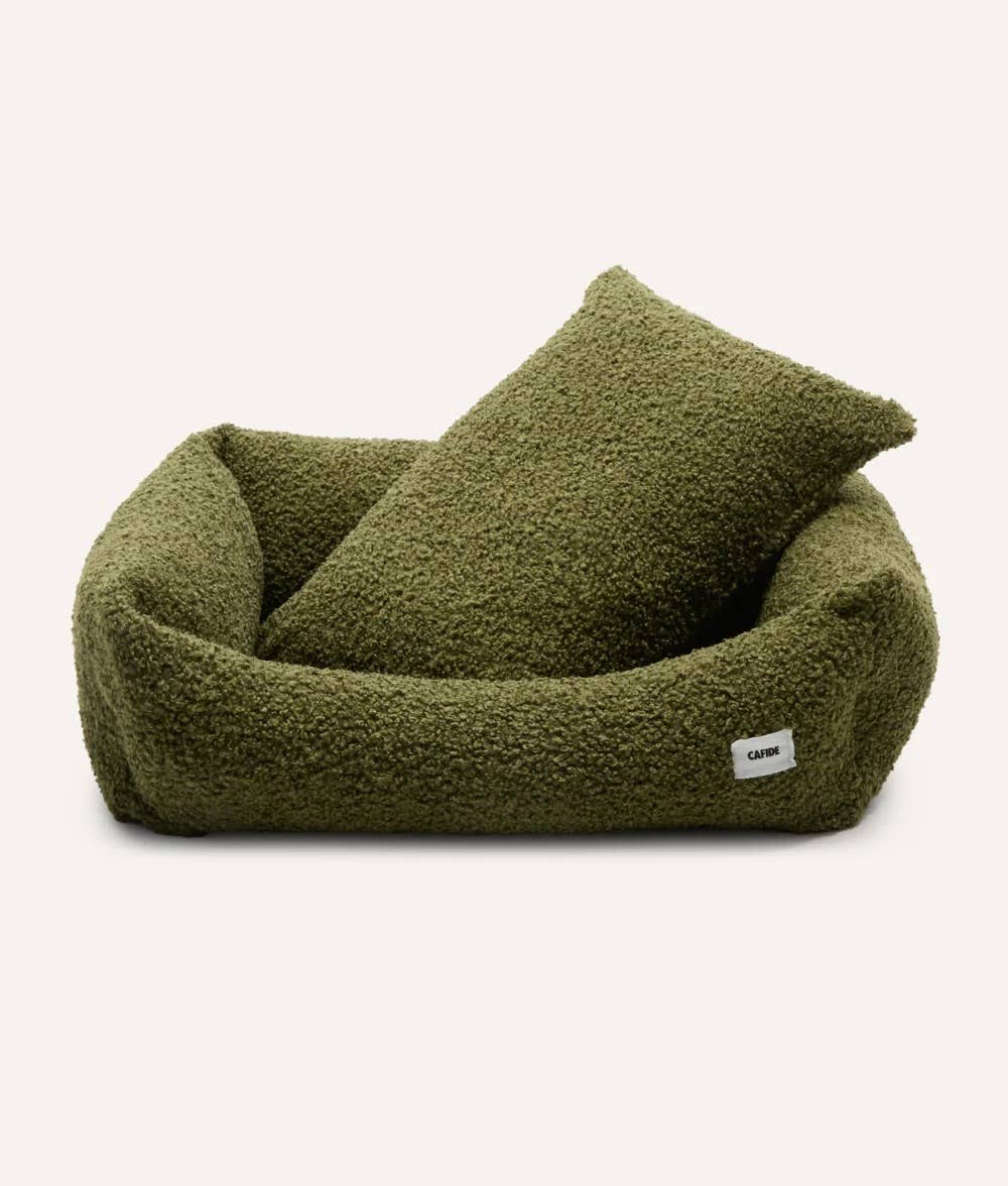 A green pet bed with 'CAIDE' label