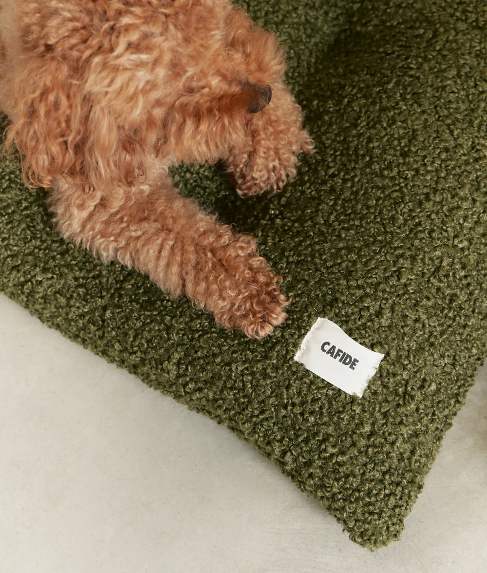 Dog lying on a green textured blanket with a 'CAFIDE' label.