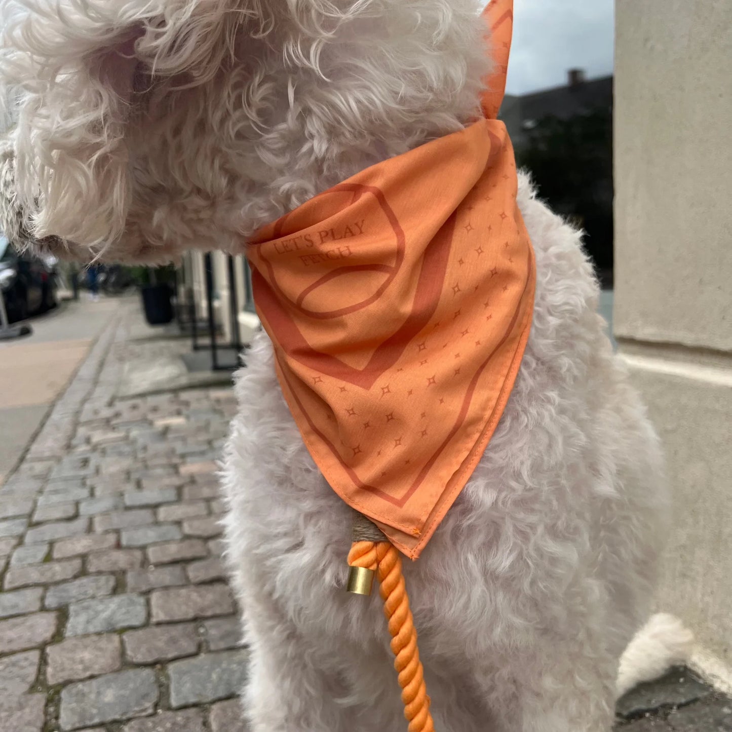 Handmade Dog Bandana – Cotton & Polyester, Medium & Large Dogs