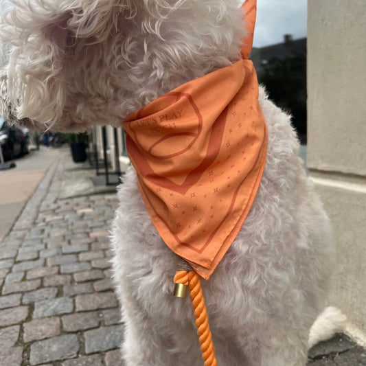 Handmade Dog Bandana – Cotton & Polyester, Medium & Large Dogs