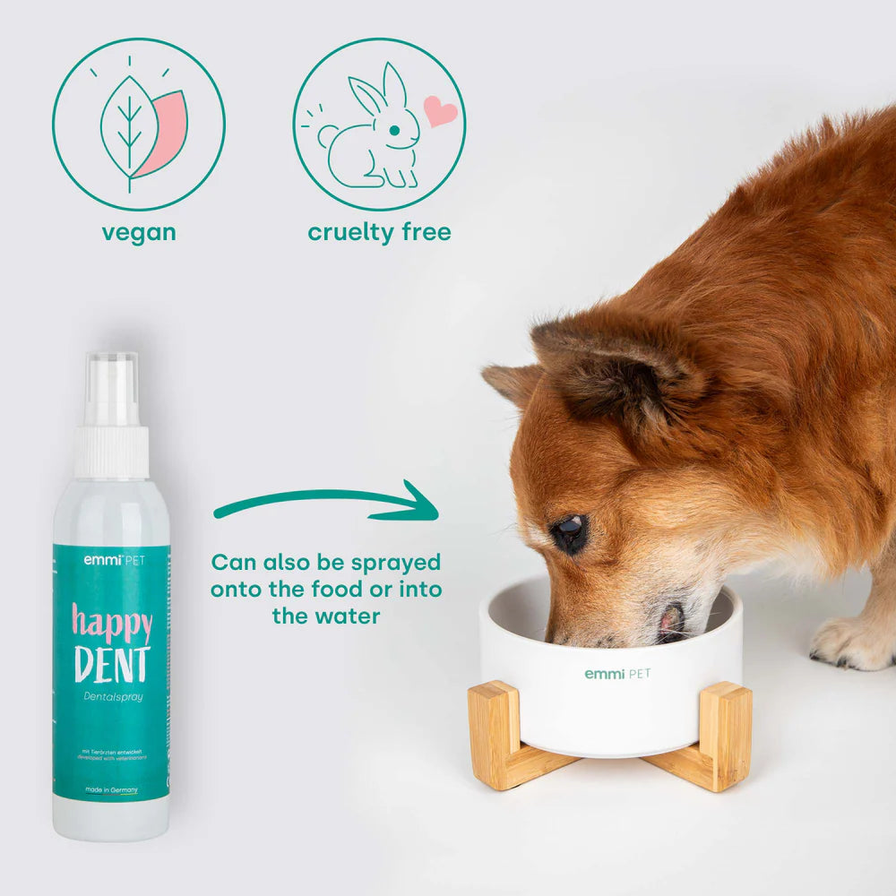 Dog drinking from a bowl next to a bottle labeled 'happy DENT' with vegan and cruelty-free icons.