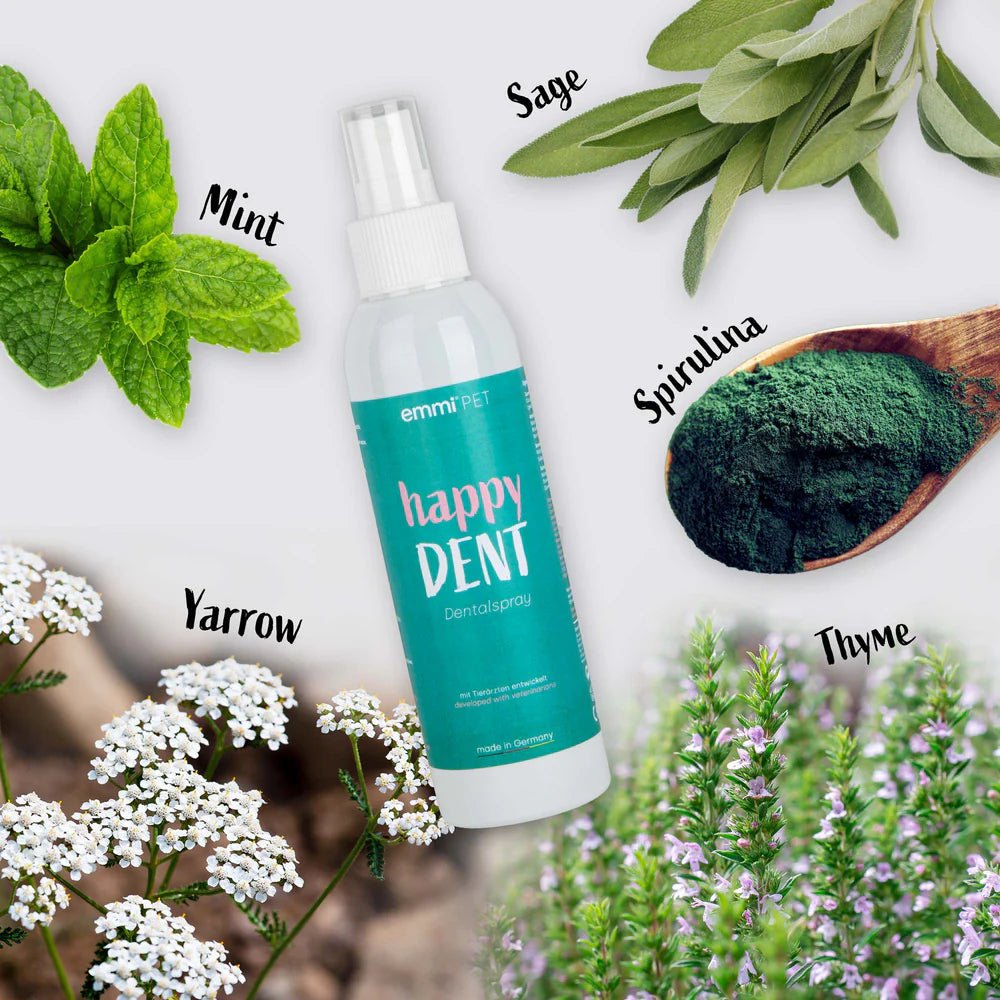 happy DENT product with mint, sage, spirulina, yarrow, and thyme elements on a white background