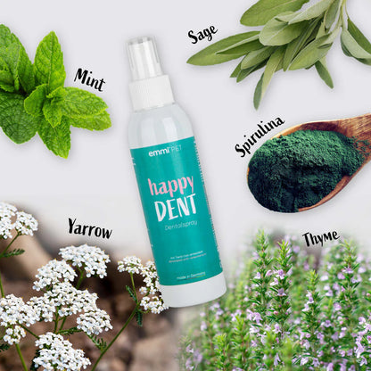 happy DENT product with mint, sage, spirulina, yarrow, and thyme elements on a white background