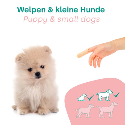 Happy Dental Care Puppy Set Blue – Gentle Dental Kit for Puppies & Small Dogs