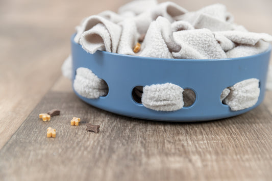 Hide & Sniff Dog Bowl – Interactive Slow Feeder