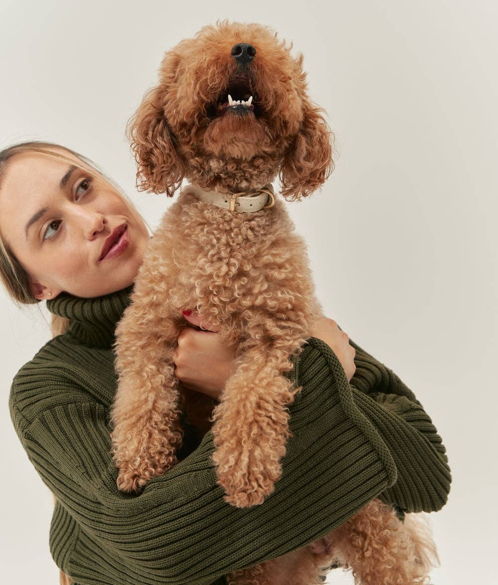 Woman holding a brown dog against a plain background