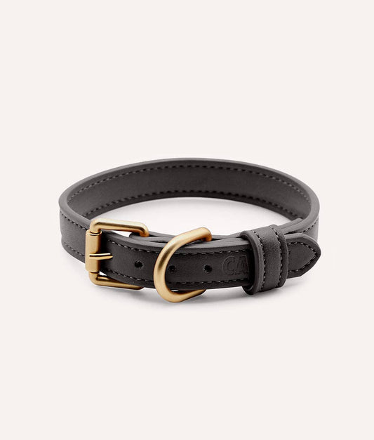 Black leather dog collar with gold hardware on a white background