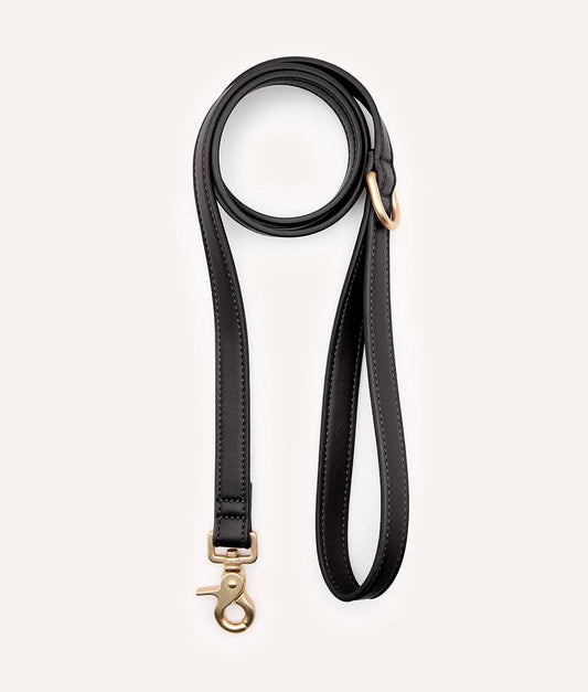 Black dog leash with gold clasp on a white background