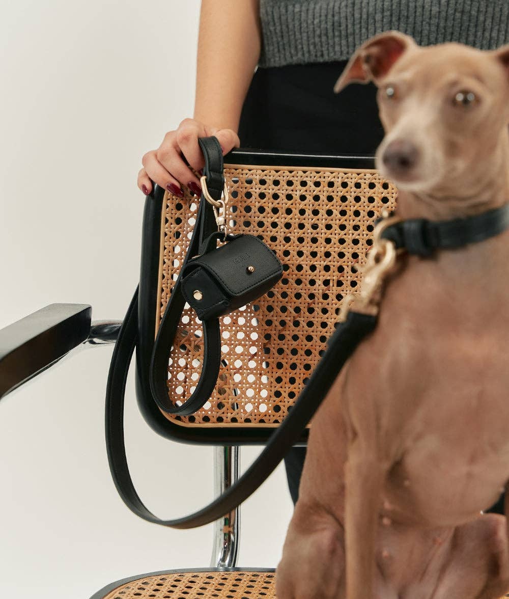 Dog sitting next to a person holding a woven handbag with a black strap.