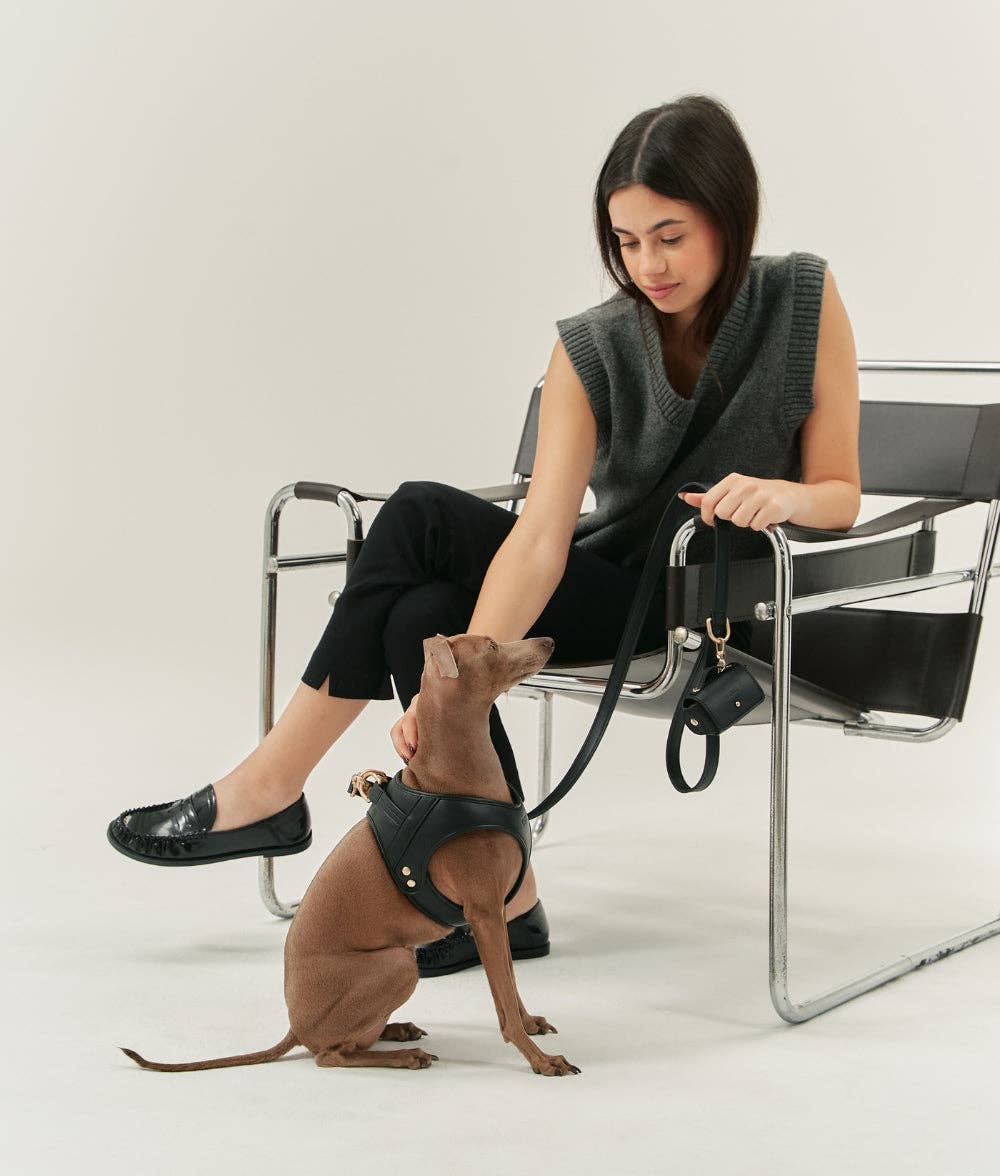 Woman sitting on a chair with a dog wearing a harness, both on a white background