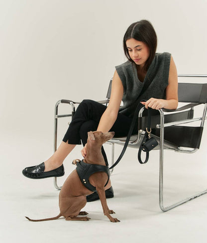 Woman sitting on a chair with a dog wearing a harness, both on a white background
