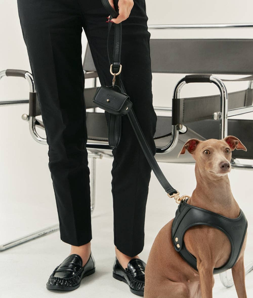 Person in black pants and shoes holding a black handbag, with a dog wearing a black harness in an indoor setting.