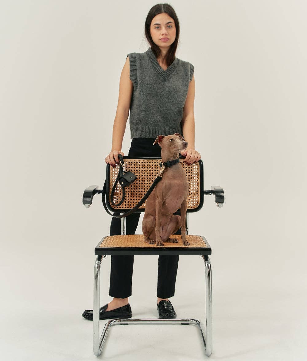 Woman holding a dog on a chair with a plain background